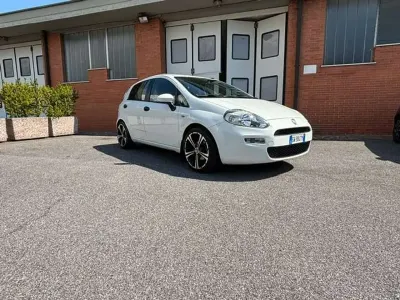 Occasion Fiat Punto Lounge 69 ch (50 kW) 2014 Blanc Citadine