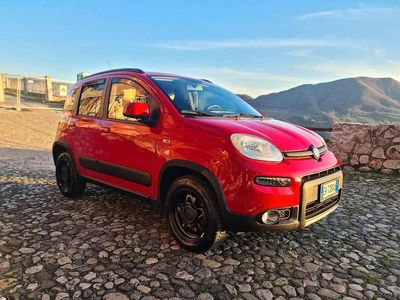 Usata Fiat Panda 4x4 75 CV (55 kW) 2014 Utilitaria