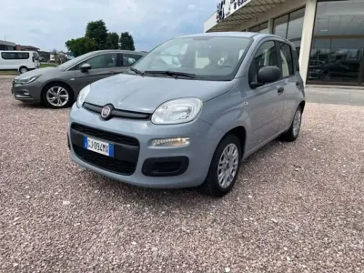 Usata Fiat Panda S 69 CV (50 kW) 2022 Grigio Utilitaria