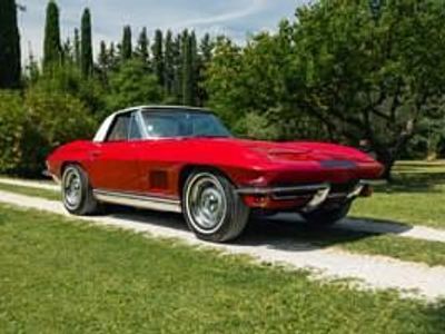Usata Chevrolet Corvette Stingray 350 CV (257 kW) 1967 Rosso Coupé