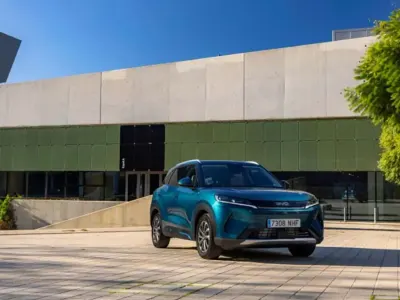Usata BYD Atto 2