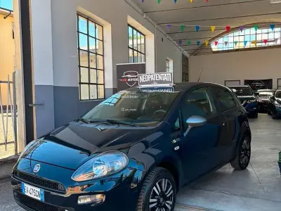 Usata Fiat Punto 75 CV (55 kW) 2014 Bluazzurro Utilitaria