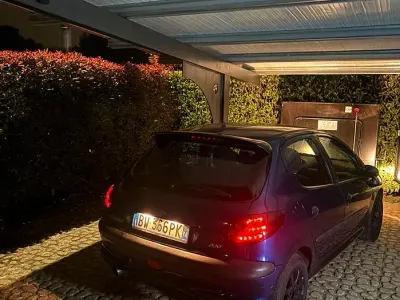 Usata Peugeot 206 75 CV (55 kW) 2001 Bluazzurro Berlina