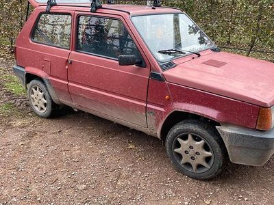 Usata Fiat Panda Young 54 CV (39 kW) 2000 Berlina