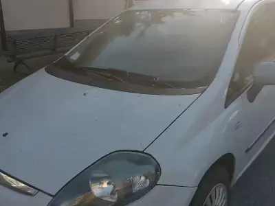 Usata Fiat Punto Evo