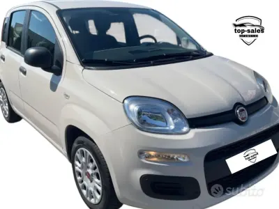 Usata Fiat Panda Lounge 69 CV (50 kW) 2017 Beige Utilitaria
