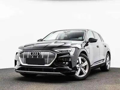 Usata Audi e-tron