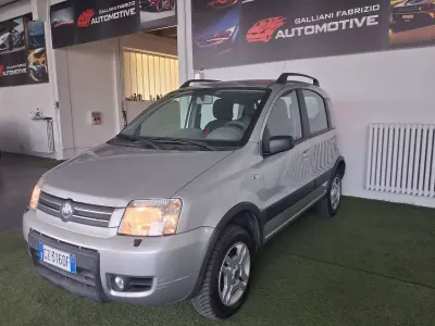Usata Fiat Panda 4x4 Cross 69 CV (50 kW) 2006 Other Utilitaria