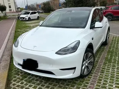 Usata Tesla Model Y RWD 125 kW (170 CV) 2023 Bianco SUV