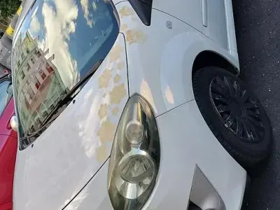 Usata Renault Twingo 58 CV (42 kW) 2009 Utilitaria