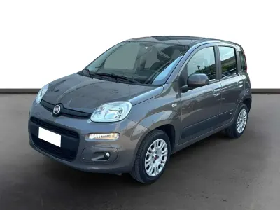 Usata Fiat Panda Easy 69 CV (50 kW) 2021 Grigio Utilitaria