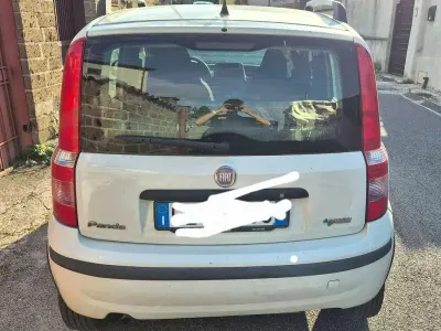Usata Fiat Panda Active 60 CV (44 kW) 2010 Bianco Utilitaria