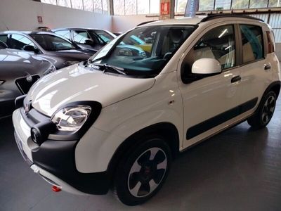 usata Fiat Panda 1.0 1.0 FireFly S&S Hybrid