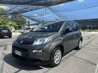 Usata Fiat Panda S 69 CV (50 kW) 2023 Other Utilitaria