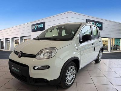 Nuova Fiat Panda S 69 CV (50 kW) 2025 Bianco Utilitaria