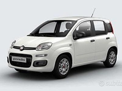 Usata Fiat Panda 70 CV (51 kW) 2016 Bianco Utilitaria