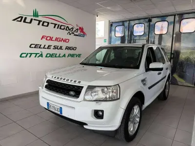 Usata Land Rover Freelander 2 HSE 190 CV (139 kW) 2011 Bianco SUV
