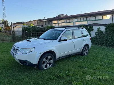 Usado Subaru Forester