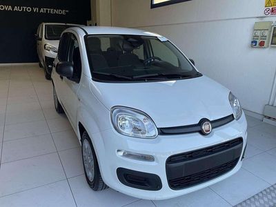 Usata Fiat Panda Icon 69 CV (50 kW) 2024 Bianco Utilitaria