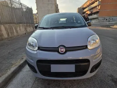 Usata Fiat Panda 69 CV (50 kW) 2019 Grigio Utilitaria