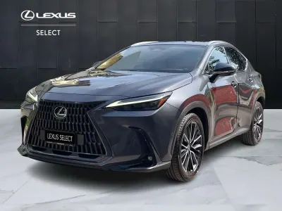 Usata Lexus NX300 Luxury Line 243 CV (178 kW) 2024 Grigio SUV