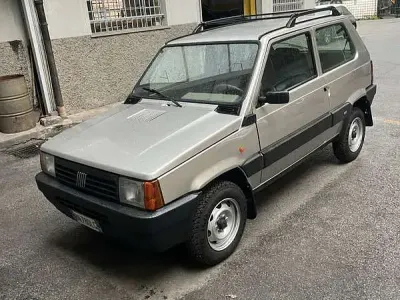 Usata Fiat Panda 4x4 Trekking 54 CV (39 kW) 2000 Utilitaria