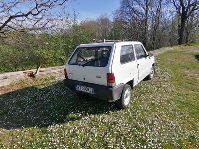 usata Fiat Panda 1100 i.e. cat Young