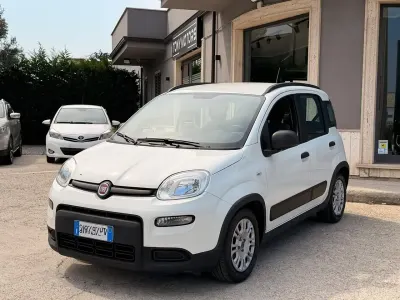 Usata Fiat Panda Cross Cross 70 CV (51 kW) 2021 Bianco Utilitaria