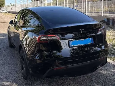 Usata Tesla Model Y