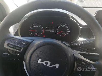 Usata Kia Picanto Urban 67 CV (49 kW) 2023 Grigio Utilitaria
