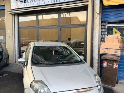 Usata Fiat Punto Evo Active 75 CV (55 kW) 2010 Argento Utilitaria