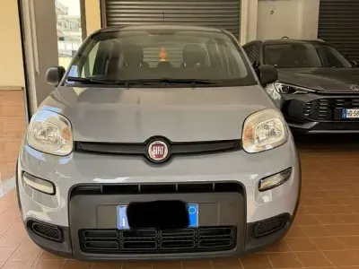Usata Fiat Panda S 69 CV (50 kW) 2023 Utilitaria