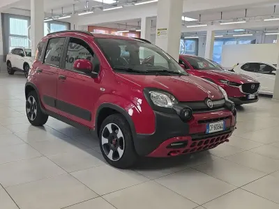 Usata Fiat Panda Cross