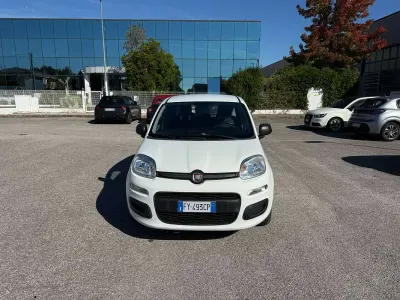 Usata Fiat Panda Easy 69 CV (50 kW) 2019 Bianco Utilitaria