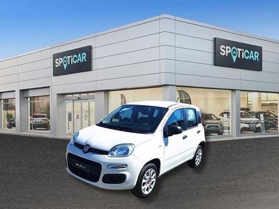 Bianco Usata 2017 Fiat Panda Easy Utilitaria | 8500 € (Buon prezzo)