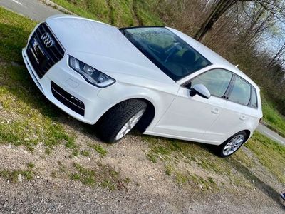 usata Audi A3 Sportback 1.6 tdi Young 110cv E6