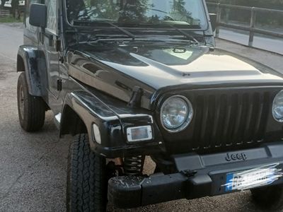 usata Jeep Wrangler Wrangler 4.0 cat Sport