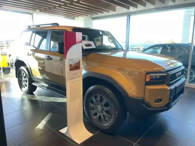 Usata Toyota Land Cruiser