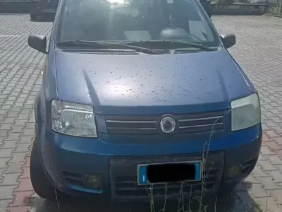 Usata Fiat Panda 4x4 69 CV (50 kW) 2006 Blu Utilitaria