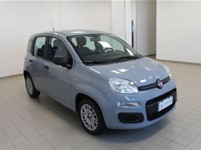 usata Fiat Panda 1.2 Easy