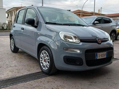 usata Fiat Panda 3ª serie - 2019