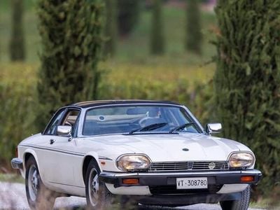 Usata Jaguar XJS 224 CV (164 kW) 1986 Bianco Cabrio