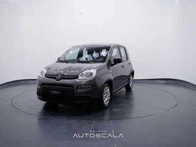 Grigio colosseo Usata 2022 Fiat Panda City Life Berlina | 9390 € (Buon prezzo)