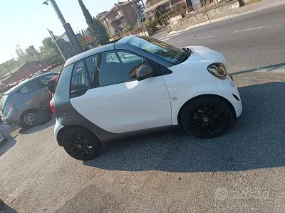 Usata Smart ForTwo Cabrio Passion 71 CV (52 kW) 2017 Bianco Cabrio