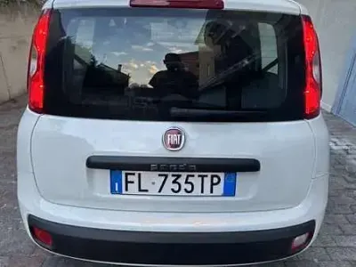 Usata Fiat Panda Easy 69 CV (50 kW) 2017 Bianco Utilitaria