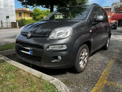 Usata Fiat Panda Lounge 69 CV (50 kW) 2017 Grigio Utilitaria