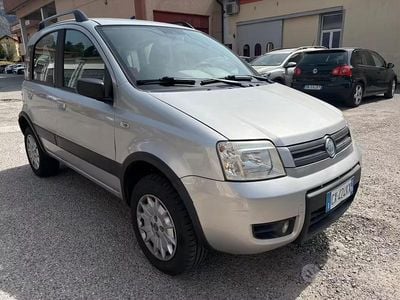 Usata Fiat Panda 4x4 60 CV (44 kW) 2005 Grigio Utilitaria