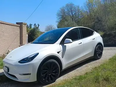 Occasion Tesla Model Y Performance 185 kW (252 ch) 2023 SUV