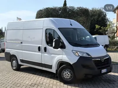 Usata Opel Movano 140 CV (102 kW) 2022 Bianco Furgone