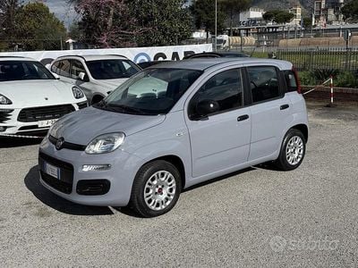 Usata Fiat Panda 69 CV (50 kW) 2019 Grigio Utilitaria